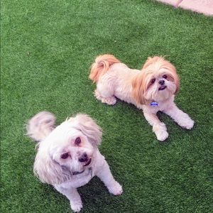 Meet your Posher, Marlene